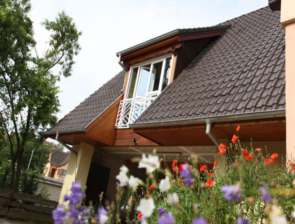 Gite Des Merles Mittelwihr Habitación foto