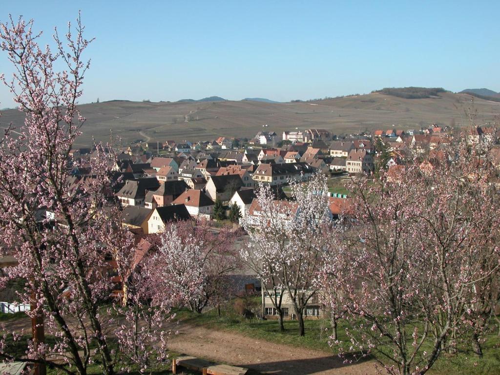 Gite Des Merles Mittelwihr Exterior foto